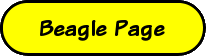 Beagle's Page